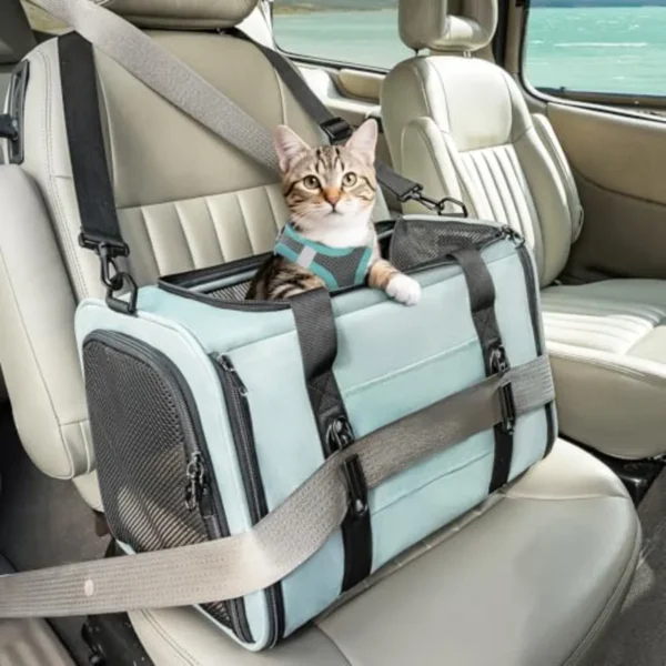 Soft-Sided Cat Carrier