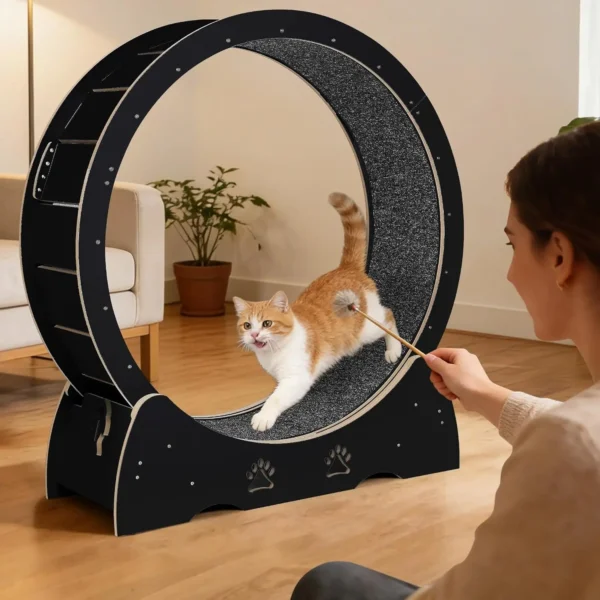 Quiet Wooden Cat Wheel