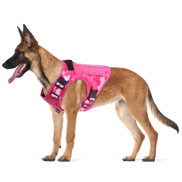 Pink Camo Dog Harness Set