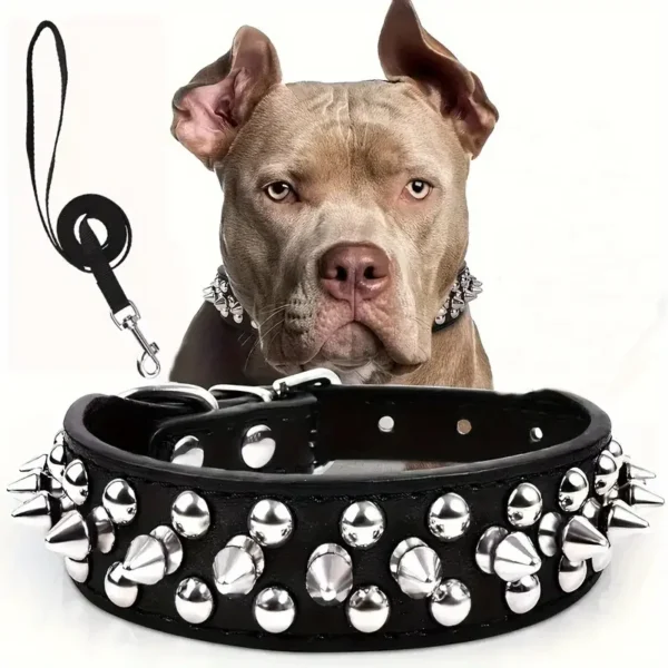 Spiked Leather Dog Collar Set