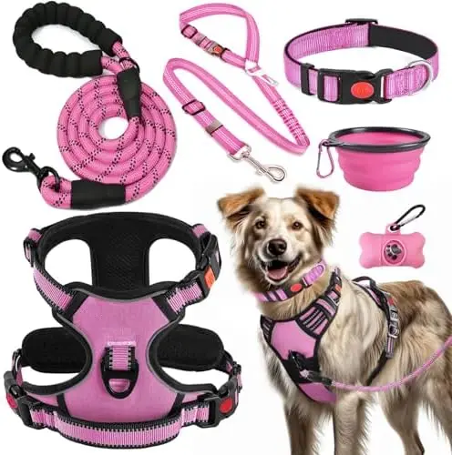 No-Pull Dog Training Kit