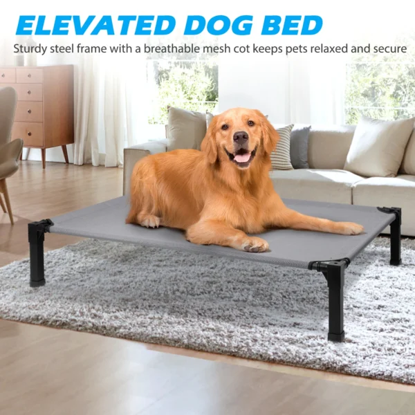 Elevated Cooling Dog Bed